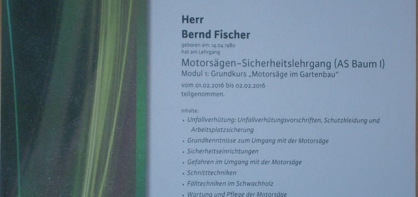 Motorsägen Sicherheitslehrgang