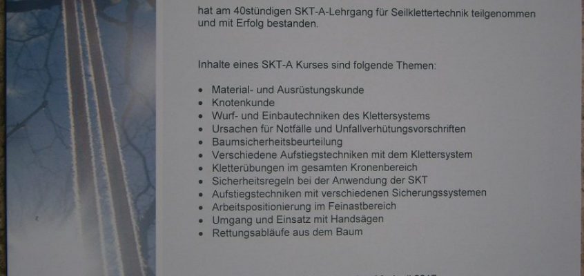 Seilklettertechnik für die Baumpflege SKT-A